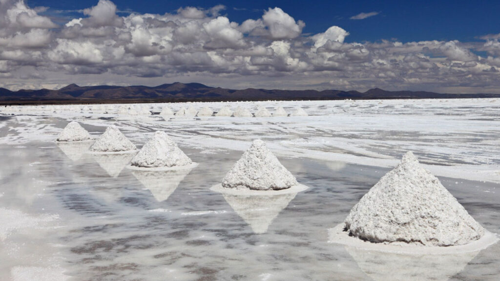Desafíos en la industria del litio: impacto en Catamarca por la abrupta caída de precios y expectativas de recuperación en 2025